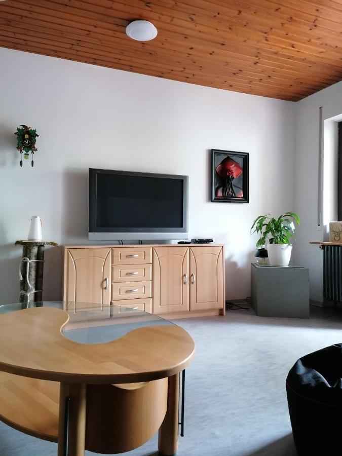 Schwarzwald Appartement Steinen  Екстериор снимка