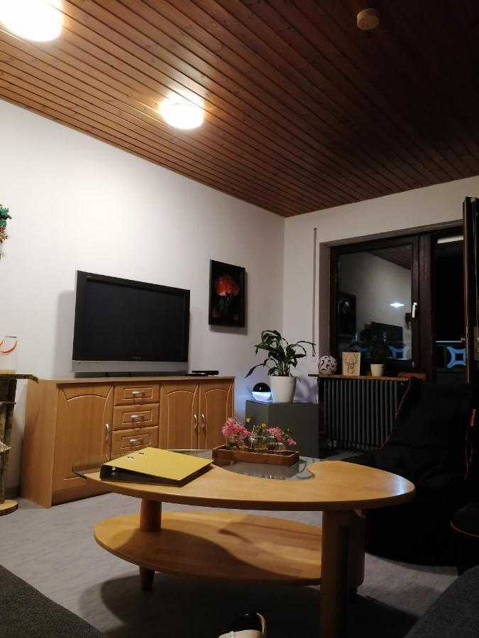 Schwarzwald Appartement Steinen  Екстериор снимка